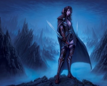 Das Fantasy Warrior Girl Wallpaper 220x176