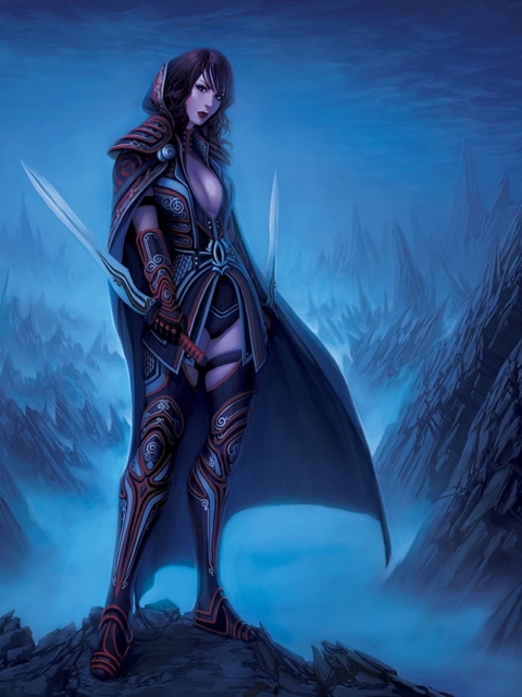 Das Fantasy Warrior Girl Wallpaper 480x640