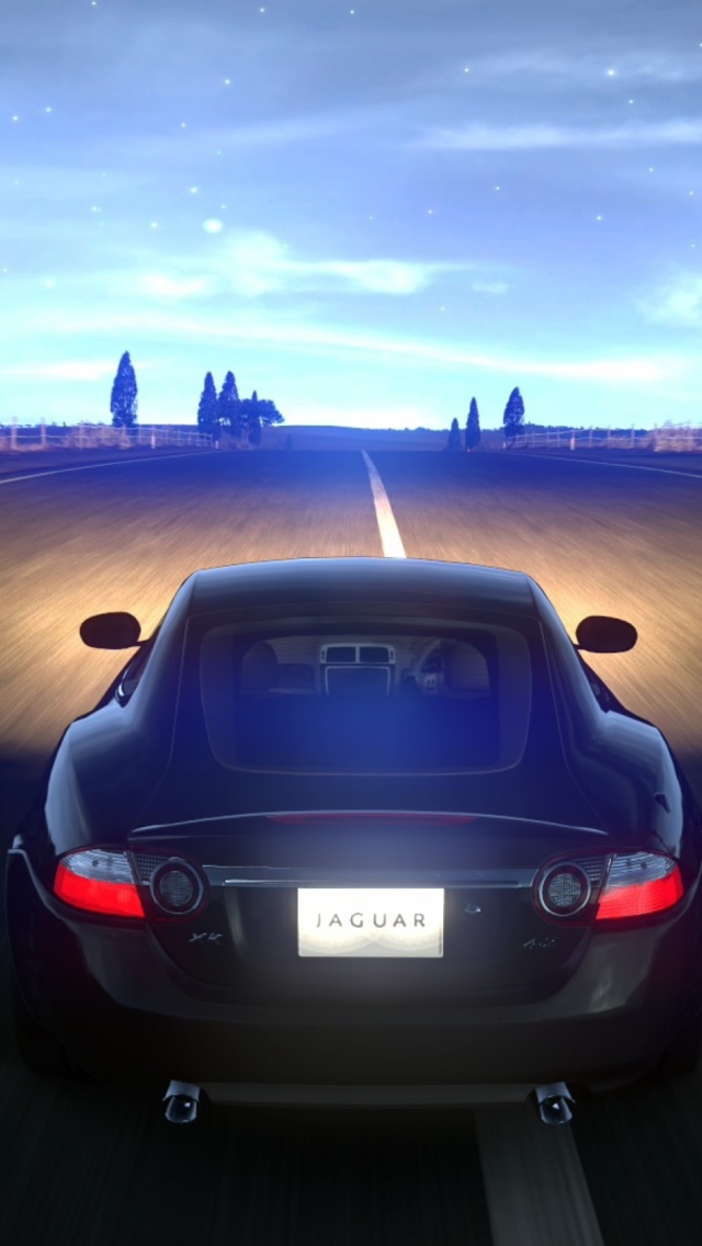 Fondo de pantalla Jaguar 640x1136