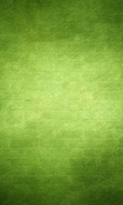 Screenshot №1 pro téma Green Texture 240x400