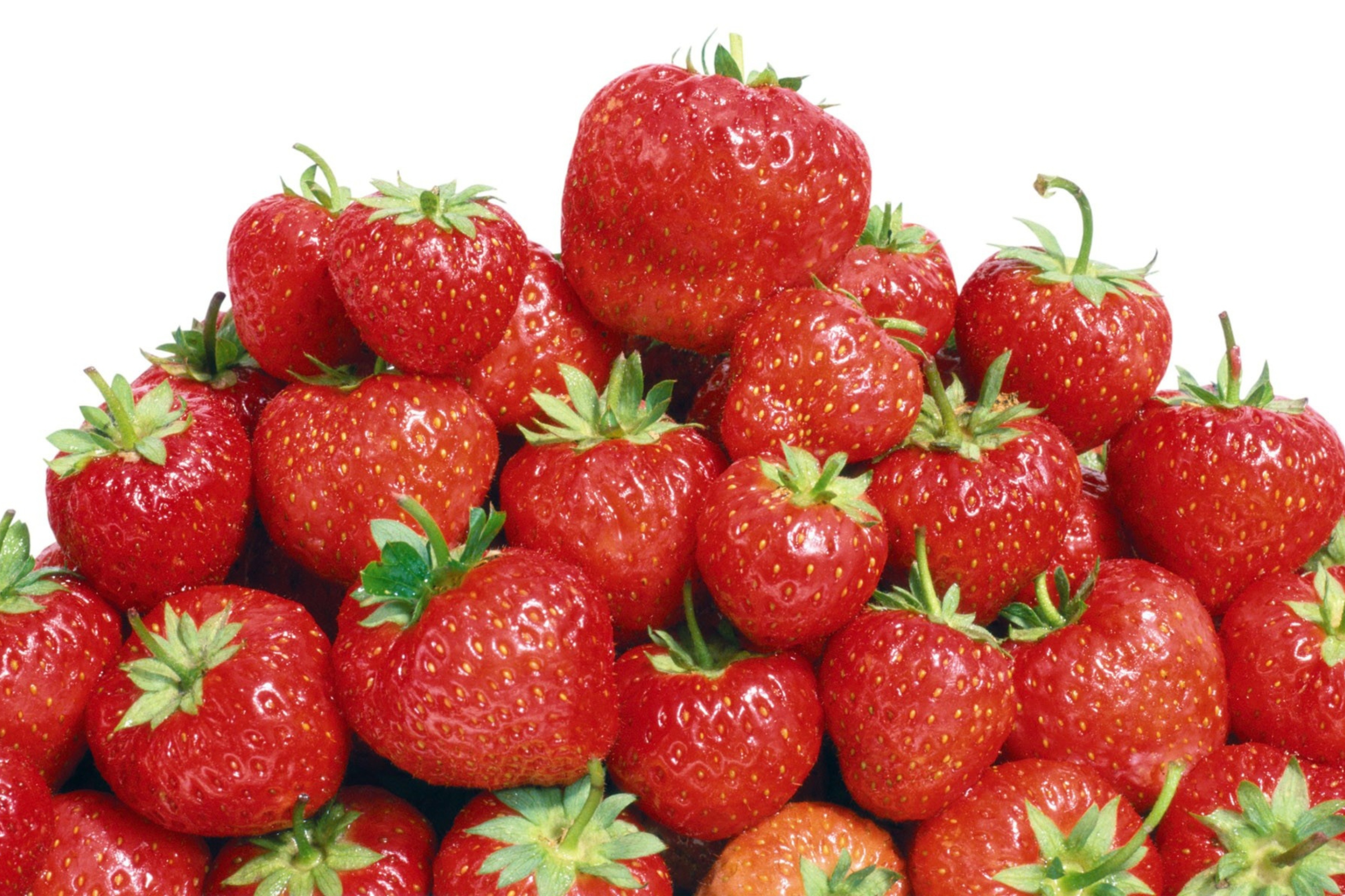 Red Strawberries wallpaper 2880x1920