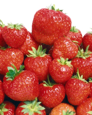 Red Strawberries - Obrázkek zdarma pro iPhone 4