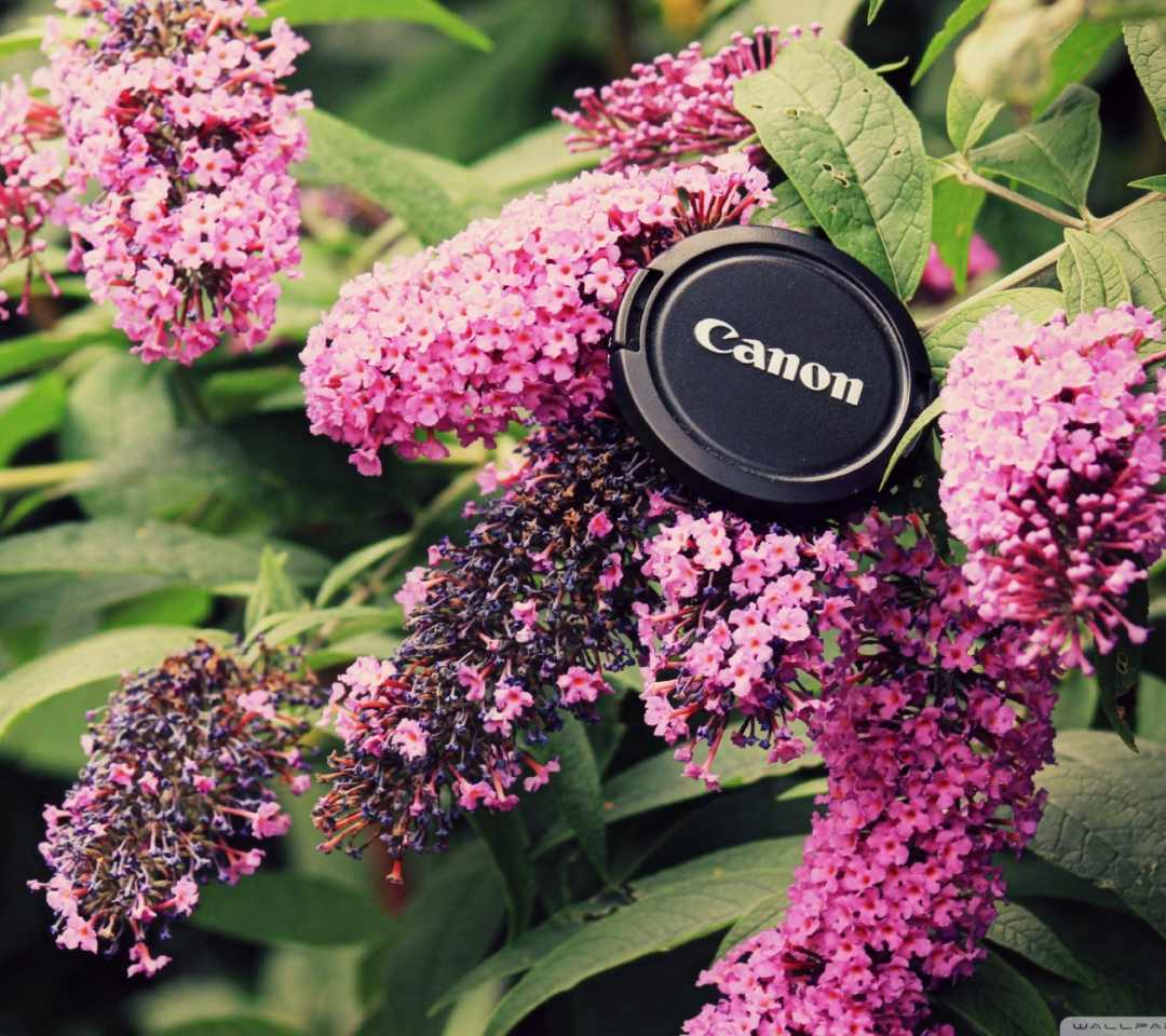 Canon Cap wallpaper 1080x960