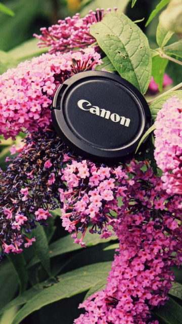 Canon Cap screenshot #1 360x640