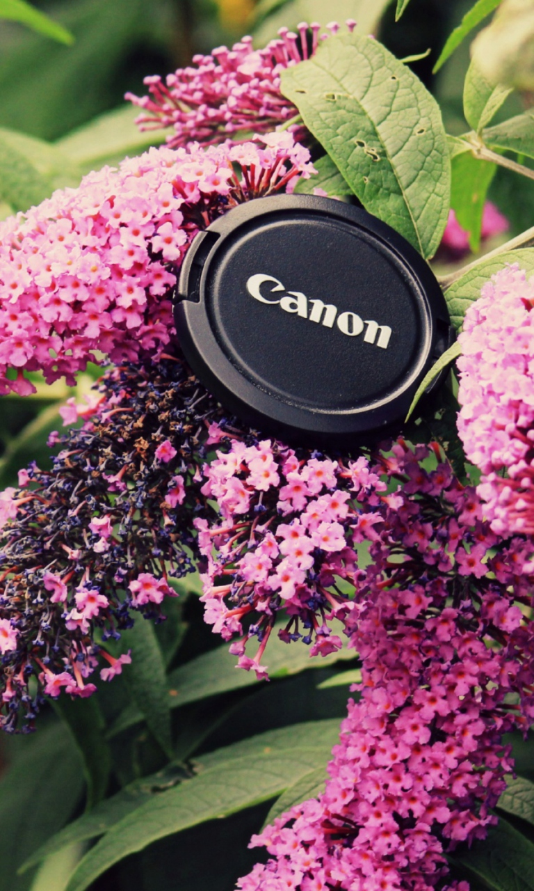 Canon Cap screenshot #1 768x1280