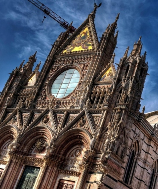 Cathedral Siena Italy papel de parede para celular para Nokia Asha 308