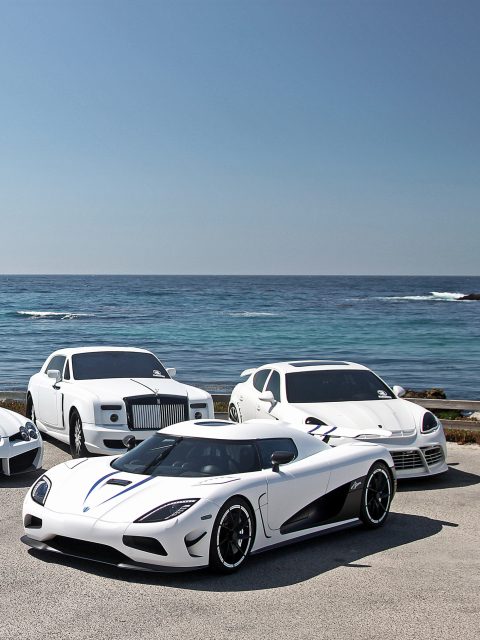 Обои White Lamborghini 480x640