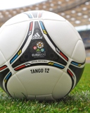 Обои Uefa Euro 2012 Poland Ukrain Tango Ball 128x160
