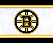 Boston Bruins NHL wallpaper 176x144