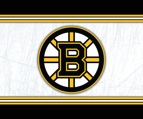 Boston Bruins NHL wallpaper 480x400