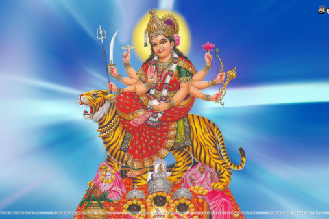 Обои Hindu God 480x320