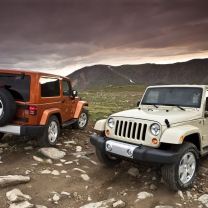 Обои Jeep Wrangler 208x208