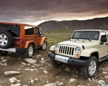 Обои Jeep Wrangler 220x176