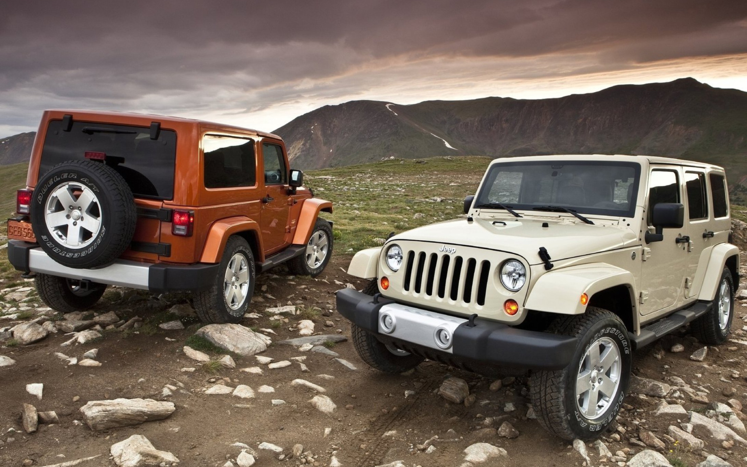 Обои Jeep Wrangler 2560x1600