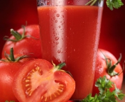Sfondi Fresh Tomatoe Juice 176x144