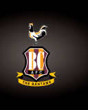 Fondo de pantalla Bradford City A.F.C. 128x160