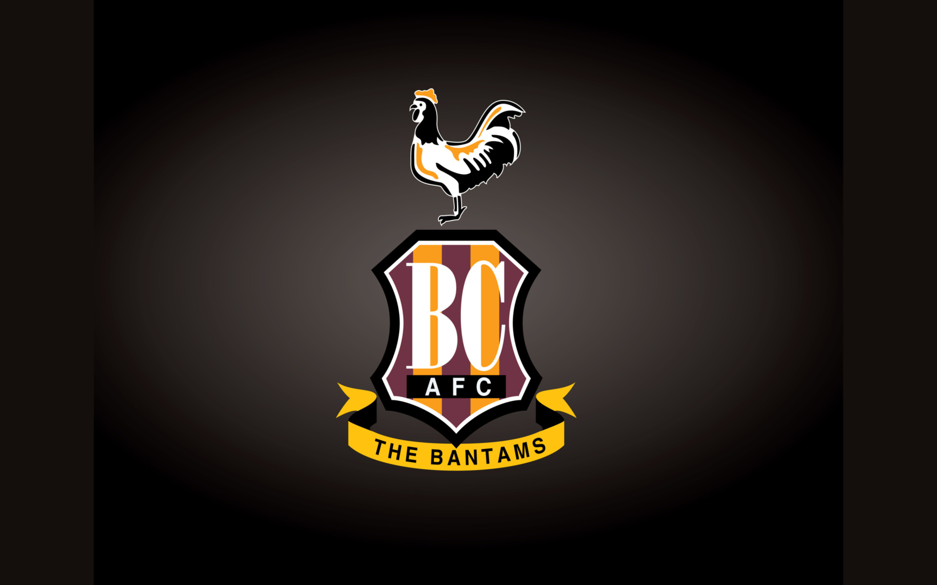 Screenshot №1 pro téma Bradford City A.F.C. 1920x1200