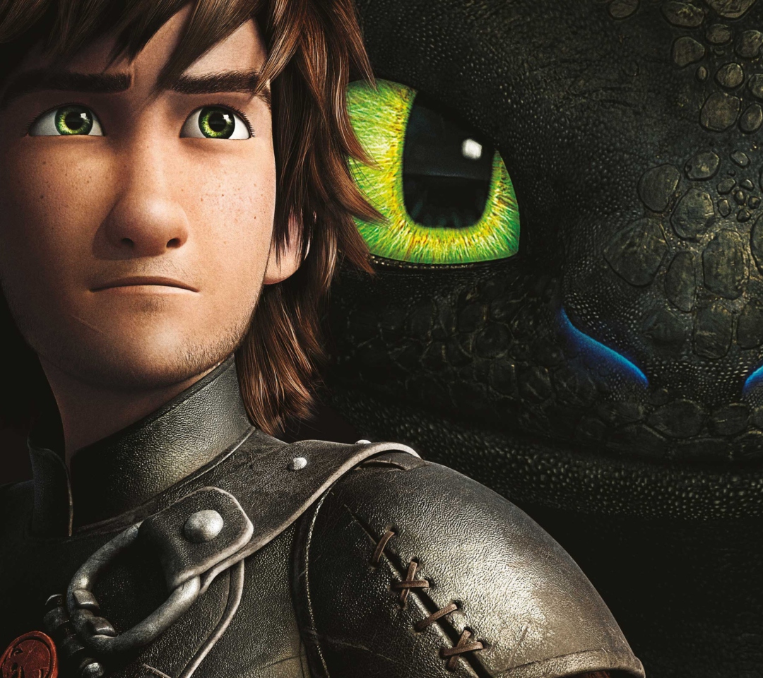 How To Train Your Dragon wallpaper 1080x960
