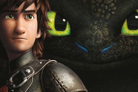 How To Train Your Dragon wallpaper 480x320