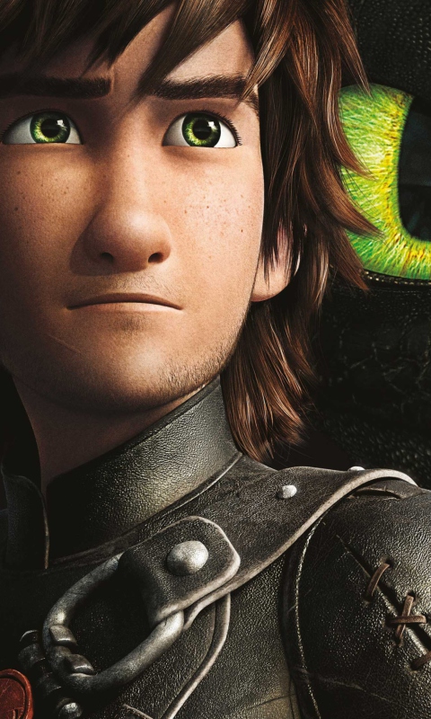 How To Train Your Dragon wallpaper 480x800