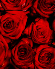Das Red Flowers Of Love Wallpaper 176x220
