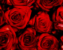 Das Red Flowers Of Love Wallpaper 220x176