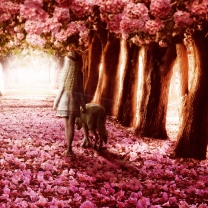 Flower Forest screenshot #1 208x208
