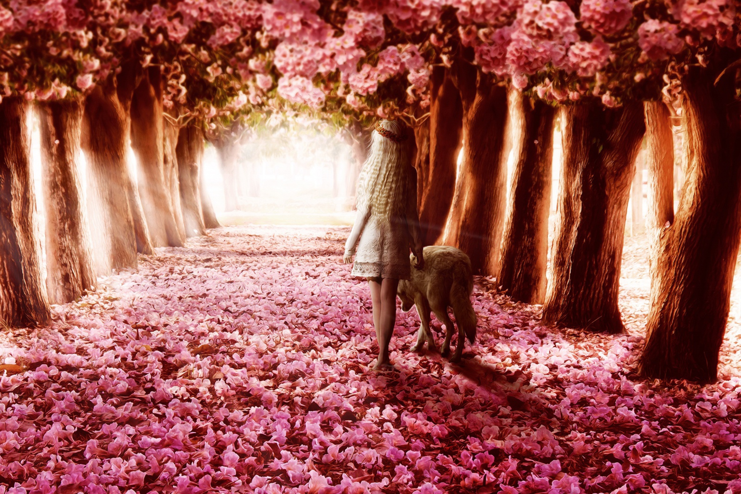 Screenshot №1 pro téma Flower Forest 2880x1920