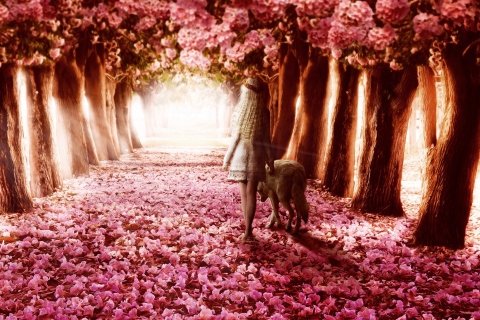 Das Flower Forest Wallpaper 480x320