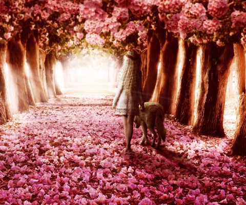 Flower Forest screenshot #1 480x400