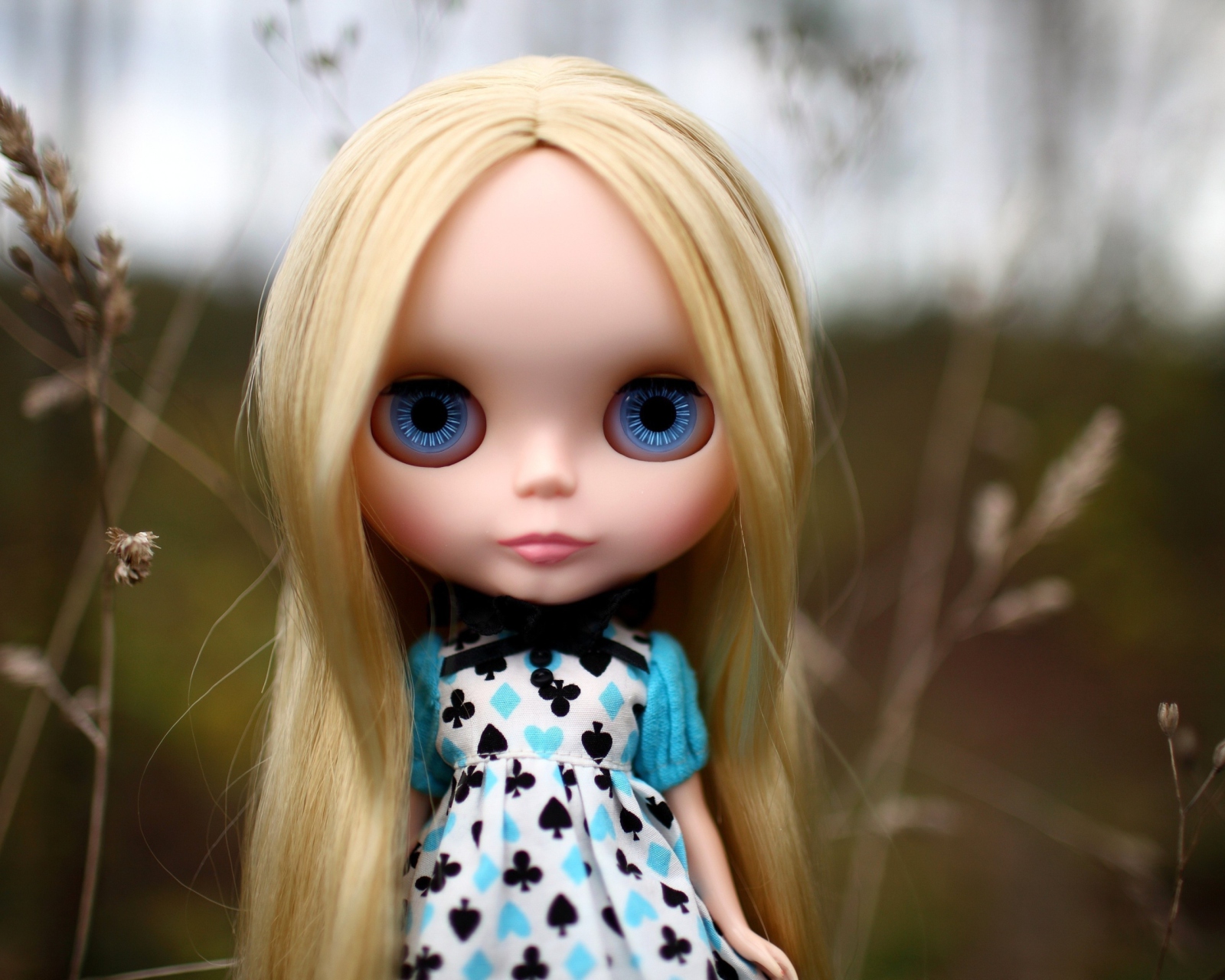 Обои Blonde China Doll With Blue Eyes 1600x1280