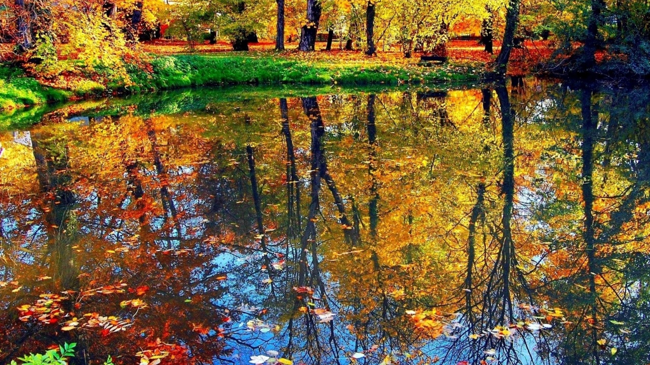 Fondo de pantalla Autumn pond and leaves 1280x720