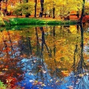 Autumn pond and leaves wallpaper 128x128
