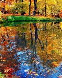 Autumn pond and leaves wallpaper 128x160