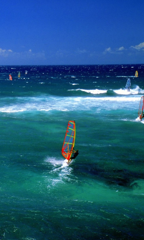 Windsurfers wallpaper 480x800