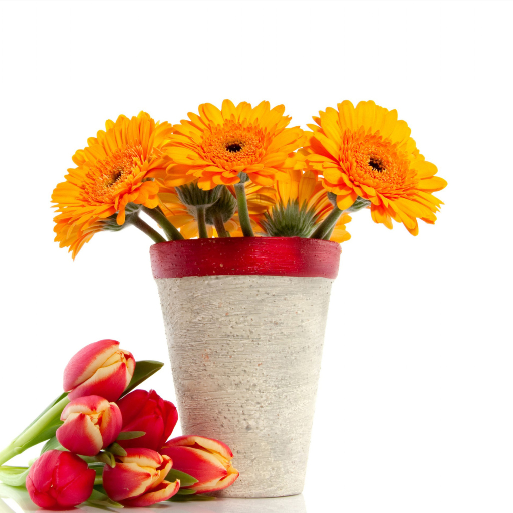Fondo de pantalla Gerbera Flowers Bouquet 1024x1024
