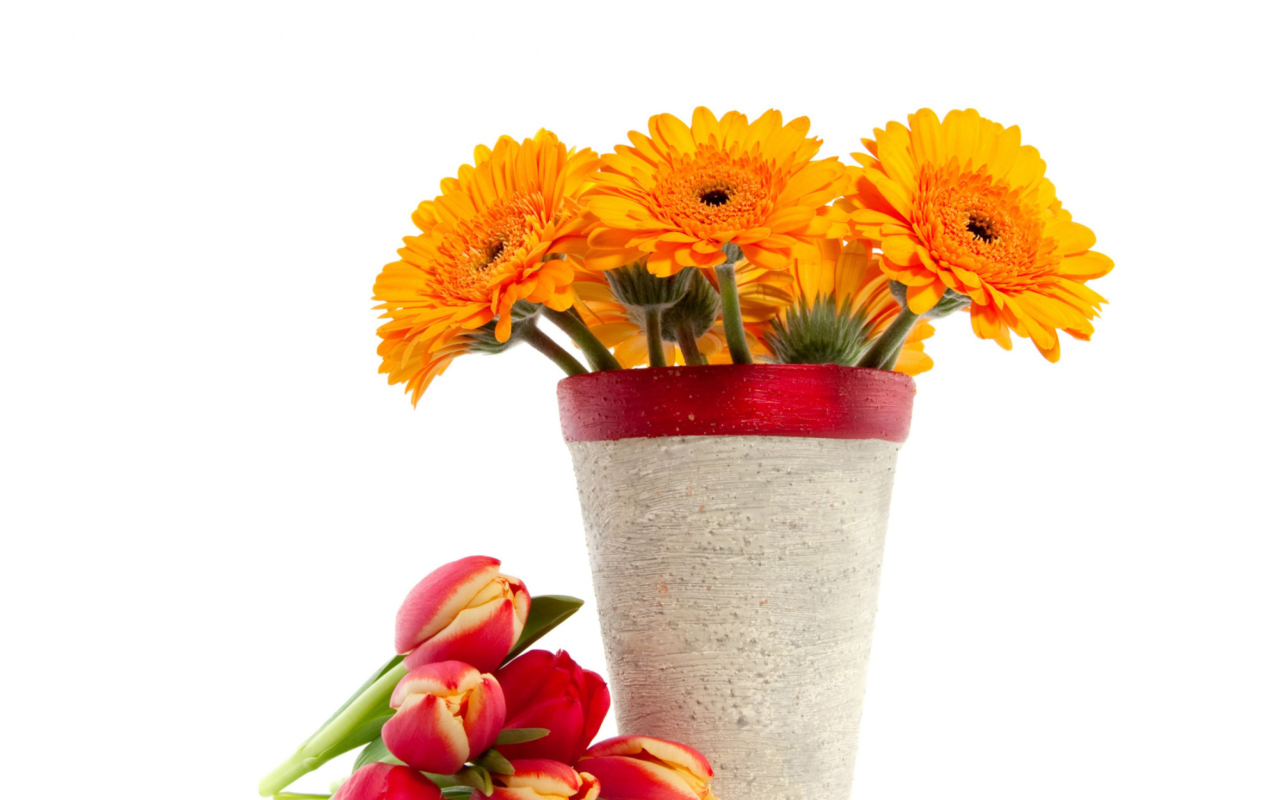 Screenshot №1 pro téma Gerbera Flowers Bouquet 1280x800