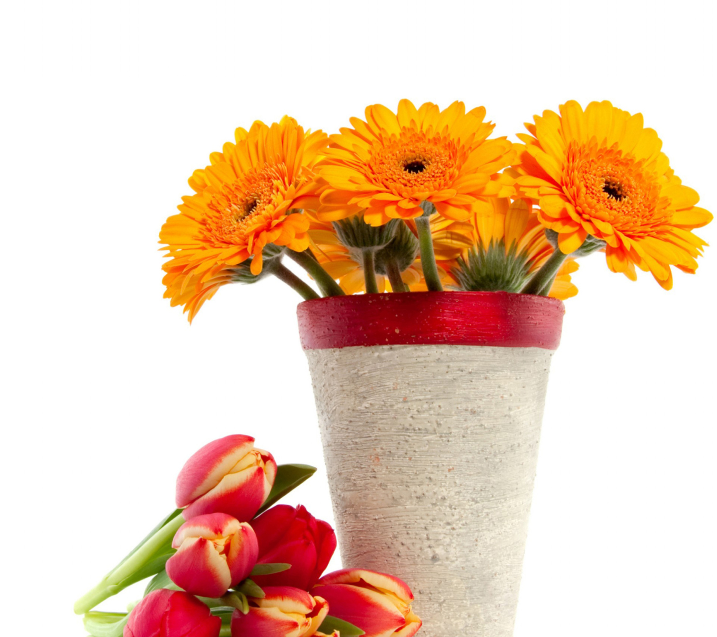 Fondo de pantalla Gerbera Flowers Bouquet 1440x1280