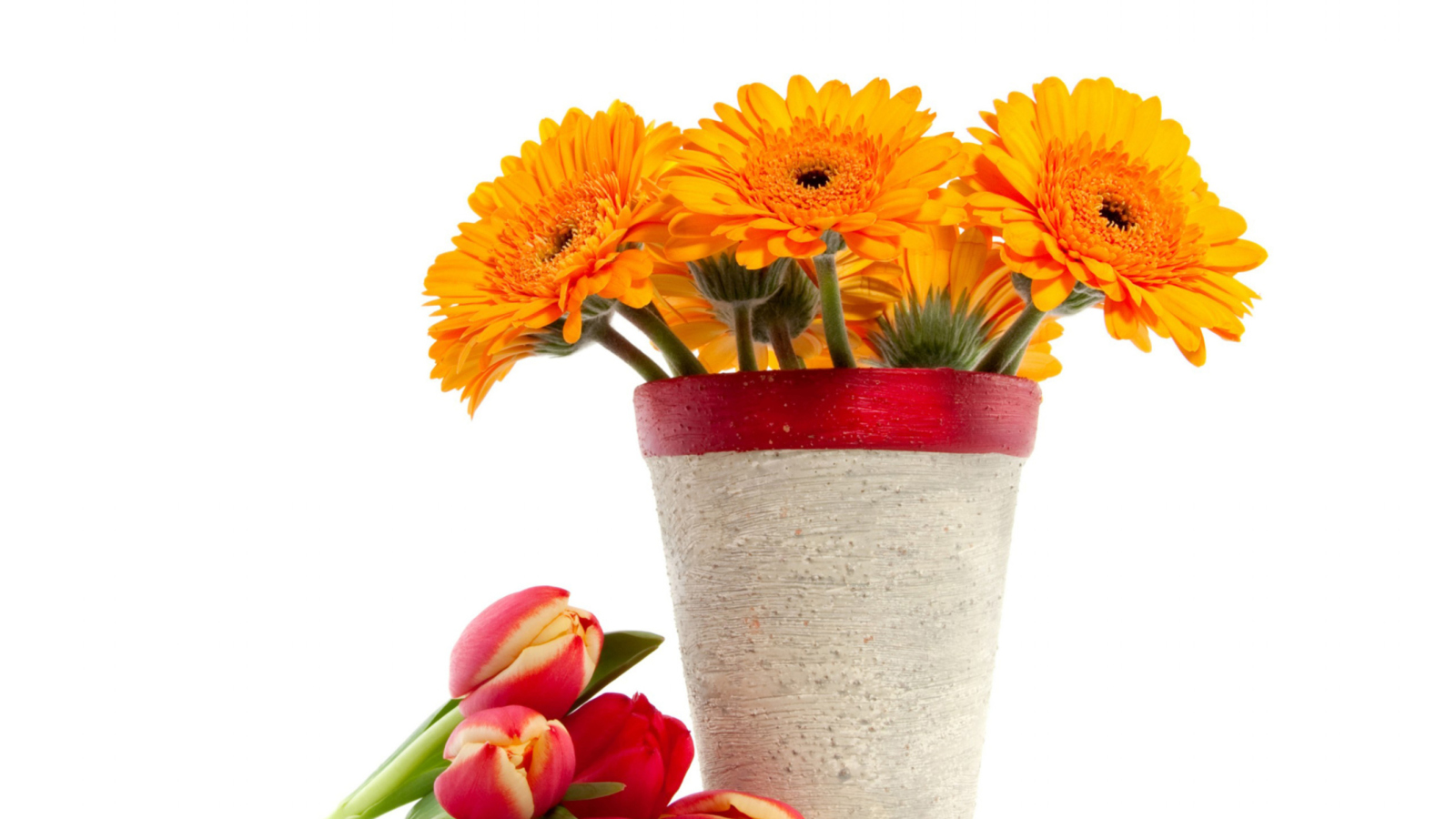 Screenshot №1 pro téma Gerbera Flowers Bouquet 1600x900