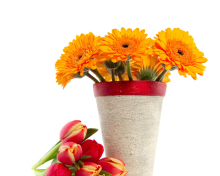Gerbera Flowers Bouquet screenshot #1 220x176
