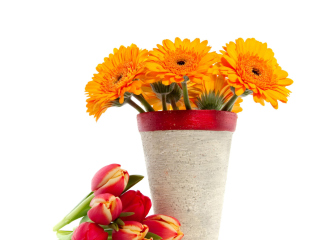 Screenshot №1 pro téma Gerbera Flowers Bouquet 320x240