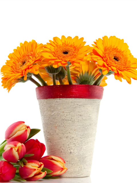 Gerbera Flowers Bouquet screenshot #1 480x640