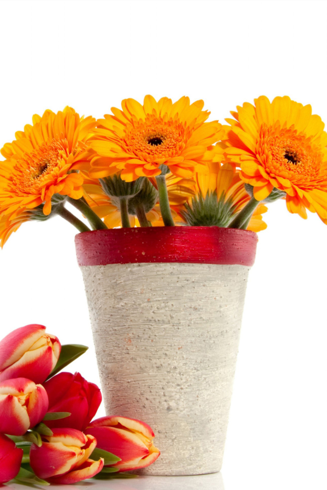 Gerbera Flowers Bouquet screenshot #1 640x960