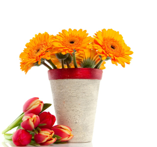 Gerbera Flowers Bouquet sfondi gratuiti per 208x208
