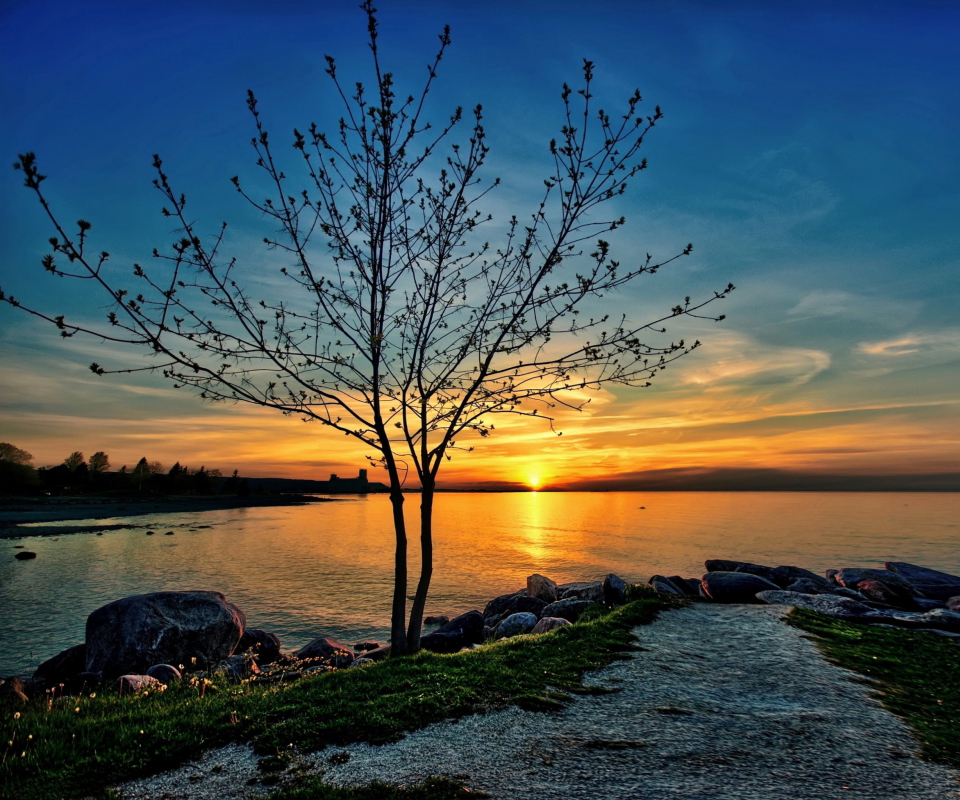 Das Sunset Behind Tree Wallpaper 960x800