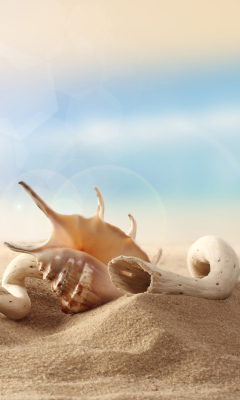 Обои Sea Shells On Sand 240x400