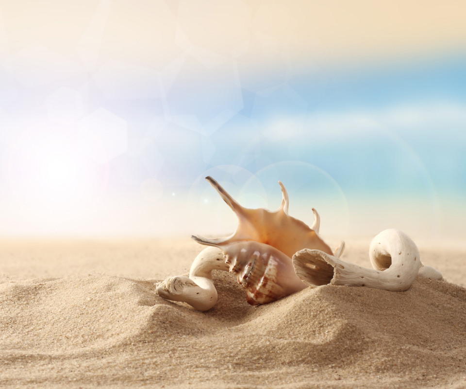 Das Sea Shells On Sand Wallpaper 960x800