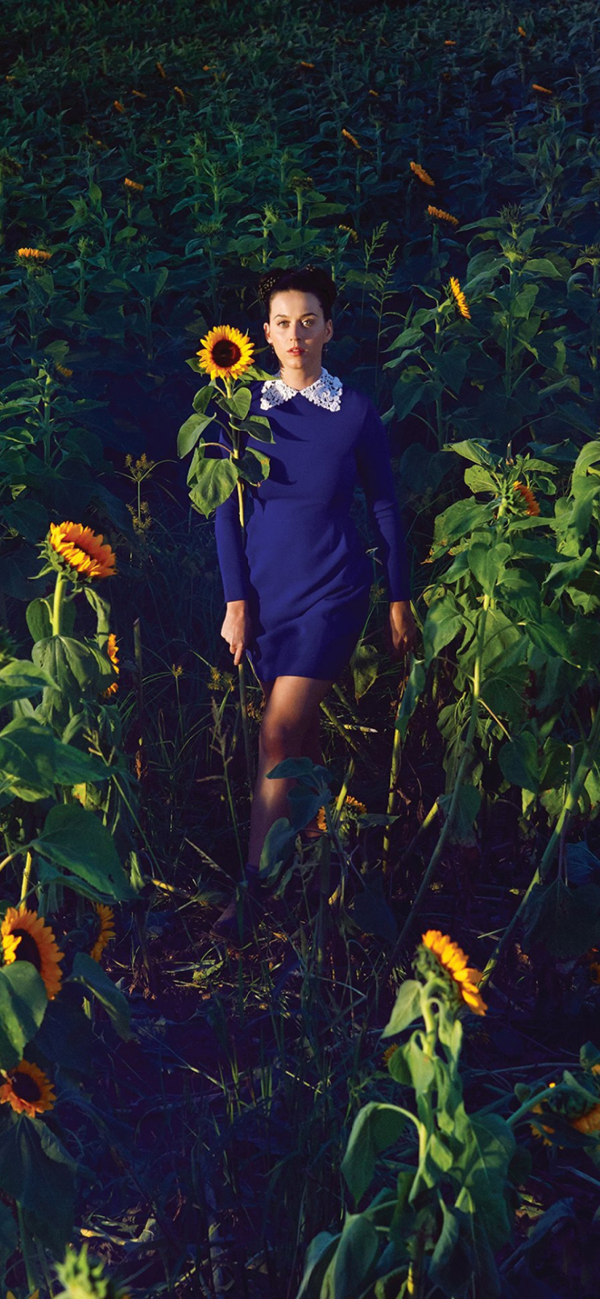 Das Girl In Blue Dress In Sunflower Field Wallpaper 1170x2532