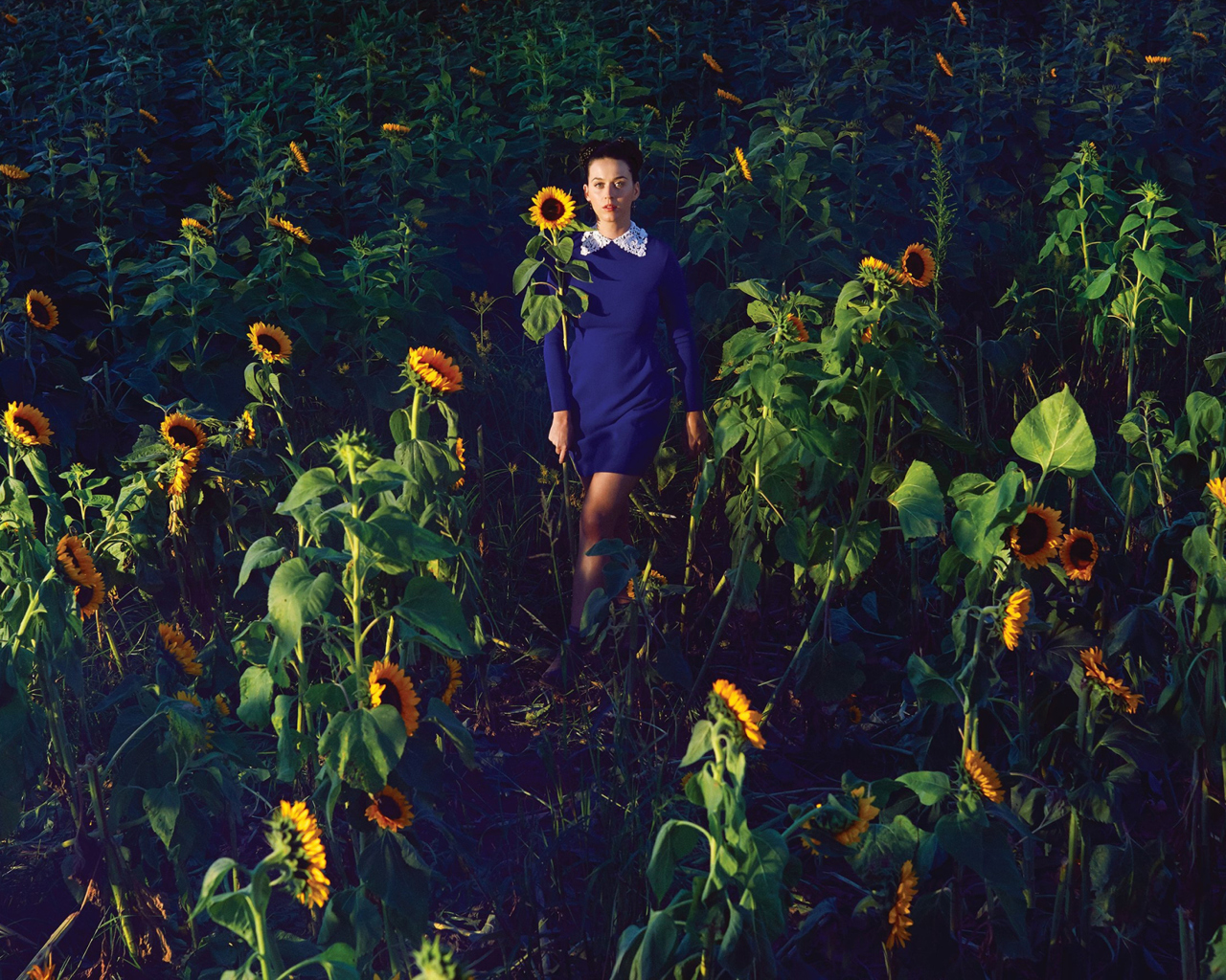 Sfondi Girl In Blue Dress In Sunflower Field 1280x1024