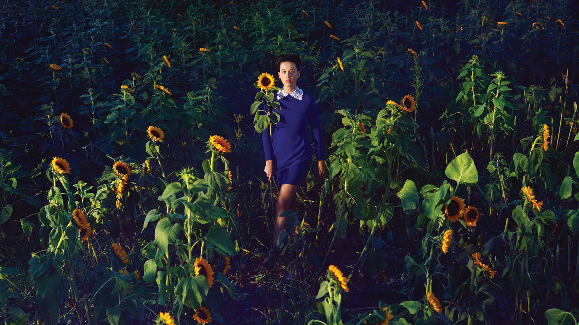 Sfondi Girl In Blue Dress In Sunflower Field 1920x1080